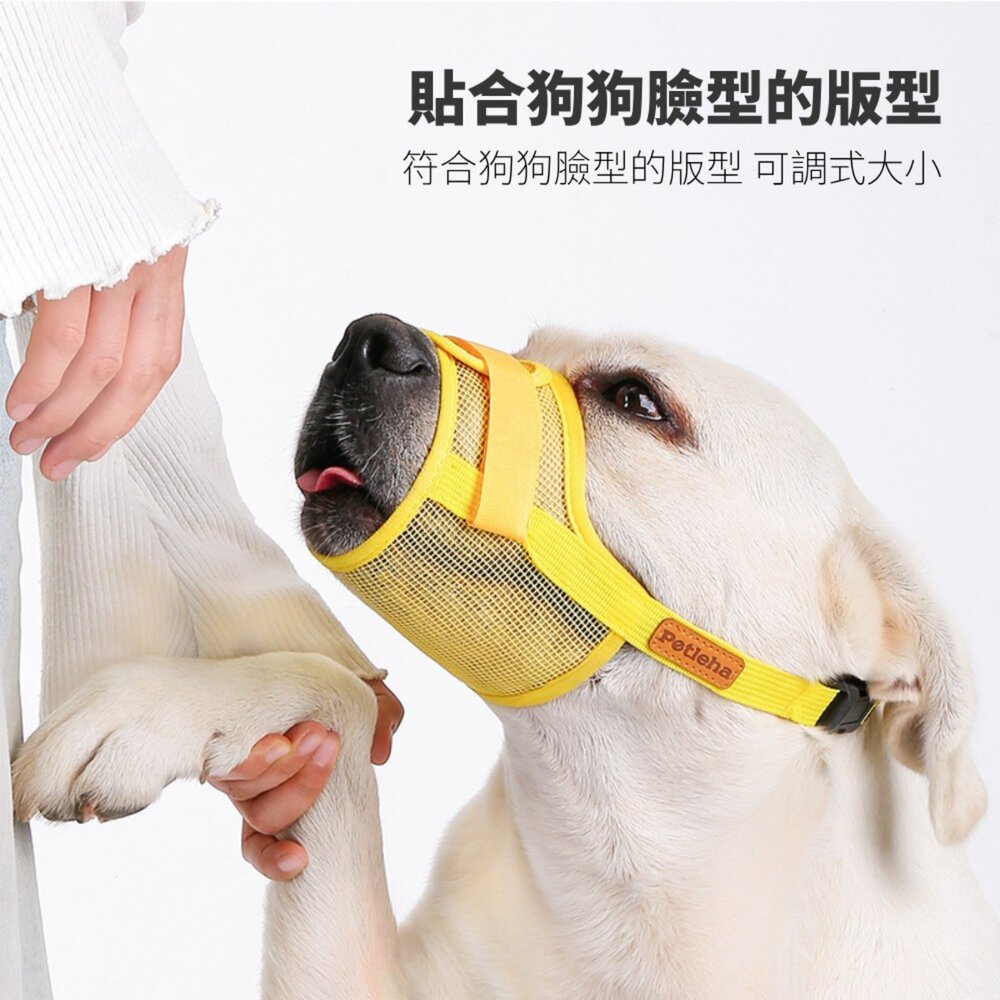 Petleha 寵物透氣嘴套 透氣嘴套 狗狗嘴罩 狗嘴套 可調節口罩 寵物口罩 寵物嘴套 網狀嘴套 狗狗嘴套毛掌櫃寵物店-圖片-4