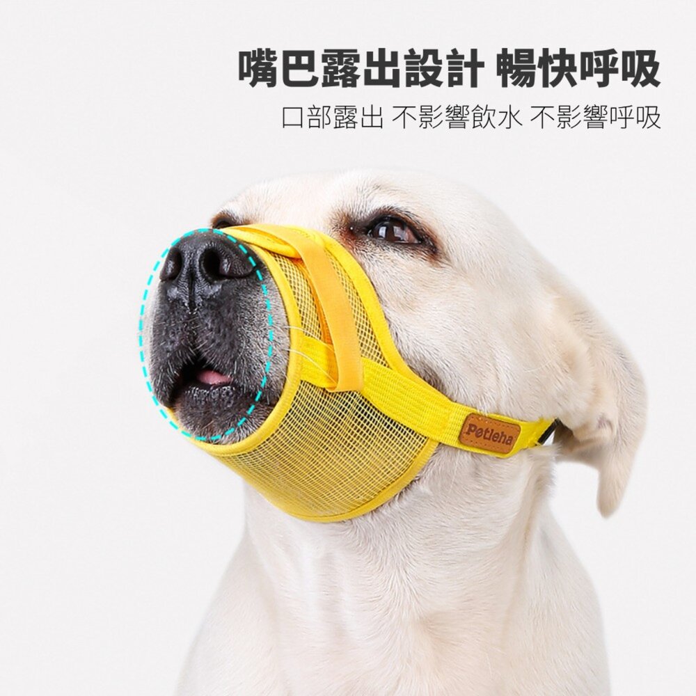 Petleha 寵物透氣嘴套 透氣嘴套 狗狗嘴罩 狗嘴套 可調節口罩 寵物口罩 寵物嘴套 網狀嘴套 狗狗嘴套毛掌櫃寵物店-圖片-5