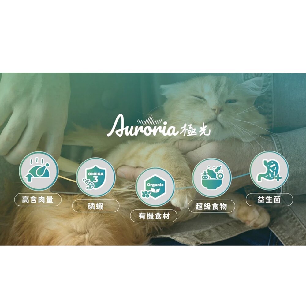 極光 貓飼料 全齡貓 貓糧 極光天然糧 無穀 雞肉 鮭魚毛掌櫃寵物店-圖片-8