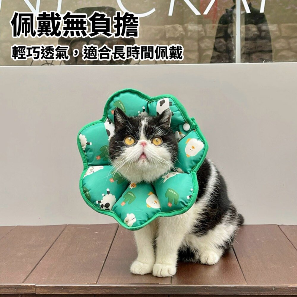 HeyElf 伊莉莎白頭套 寵物頭套 寵物脖圍 防舔防抓圈 寵物防舔防抓脖圍 可調節圍脖 寵物軟式頭套 絕育頭套毛掌櫃寵-圖片-1