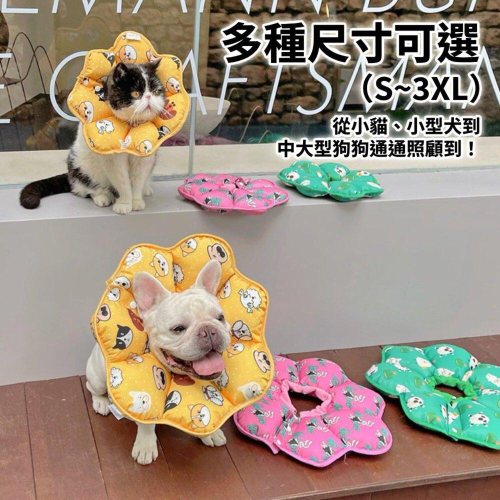 HeyElf 伊莉莎白頭套 寵物頭套 寵物脖圍 防舔防抓圈 寵物防舔防抓脖圍 可調節圍脖 寵物軟式頭套 絕育頭套毛掌櫃寵-圖片-4