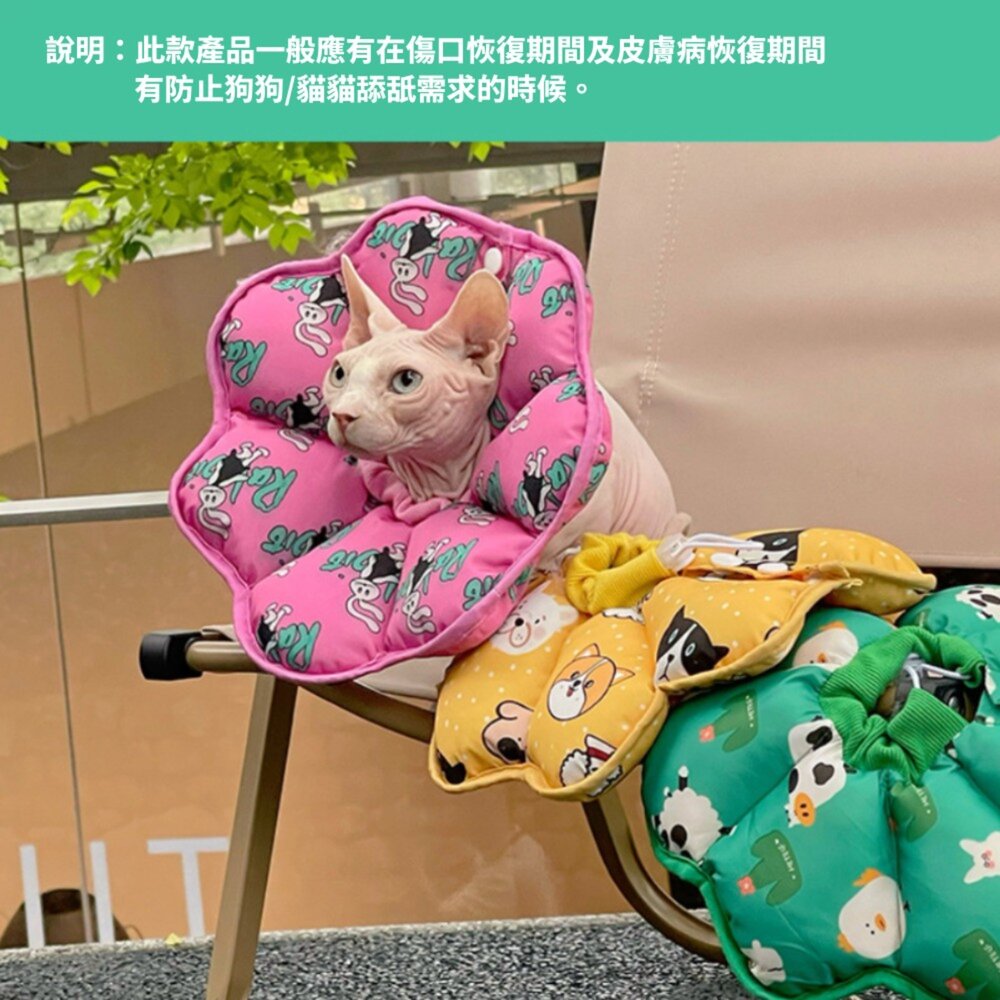 HeyElf 伊莉莎白頭套 寵物頭套 寵物脖圍 防舔防抓圈 寵物防舔防抓脖圍 可調節圍脖 寵物軟式頭套 絕育頭套毛掌櫃寵-圖片-5