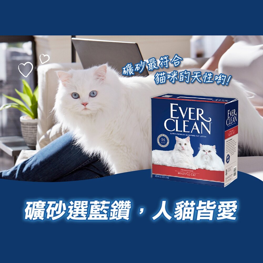 EverClean 藍鑽 強效凝結除臭貓砂 結塊貓砂 頂級礦砂 強效清香 活性碳貓砂 貓砂毛掌櫃寵物店-圖片-7