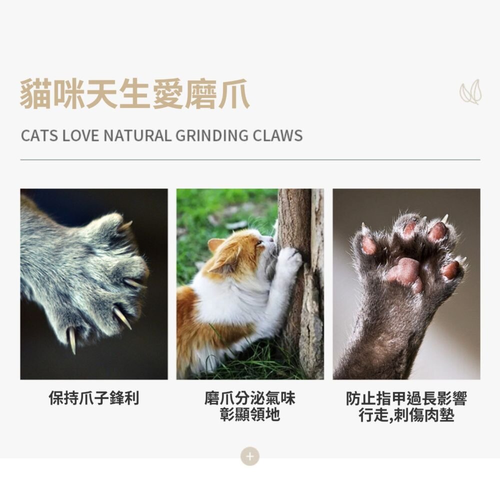 圓形貓抓窩 貓抓板 貓睡窩 貓玩具 摩爪神器 貓抓板貓窩 貓咪抓盆 貓咪玩具 貓抓板窩 磨爪貓玩具毛掌櫃寵物店-圖片-3