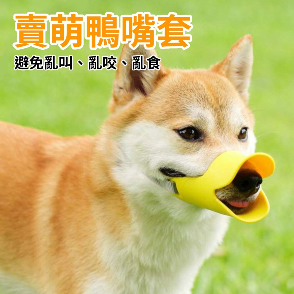 鴨嘴型嘴套 寵物嘴套 可調節口罩 防咬防叫嘴套 狗狗嘴套 狗狗外出必備 透氣狗嘴罩 減少狗吠亂吃 中大型犬嘴罩毛掌櫃寵物-圖片-1
