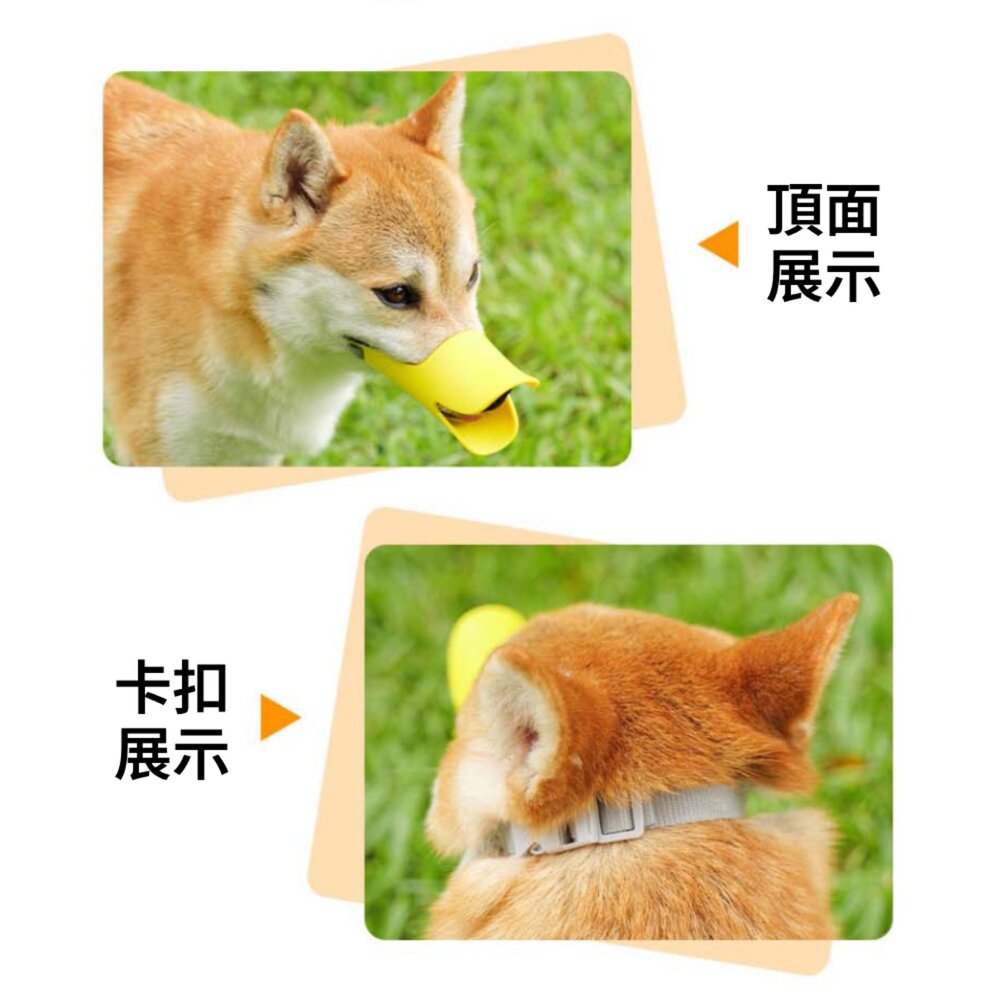 鴨嘴型嘴套 寵物嘴套 可調節口罩 防咬防叫嘴套 狗狗嘴套 狗狗外出必備 透氣狗嘴罩 減少狗吠亂吃 中大型犬嘴罩毛掌櫃寵物-圖片-7