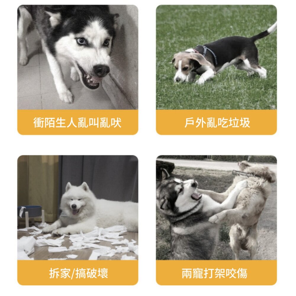 嘴套 寵物嘴套 狗嘴套 透氣嘴罩 防咬防叫嘴套 防誤食 可調節口罩 寵物口罩 狗狗口罩毛掌櫃寵物店-圖片-3