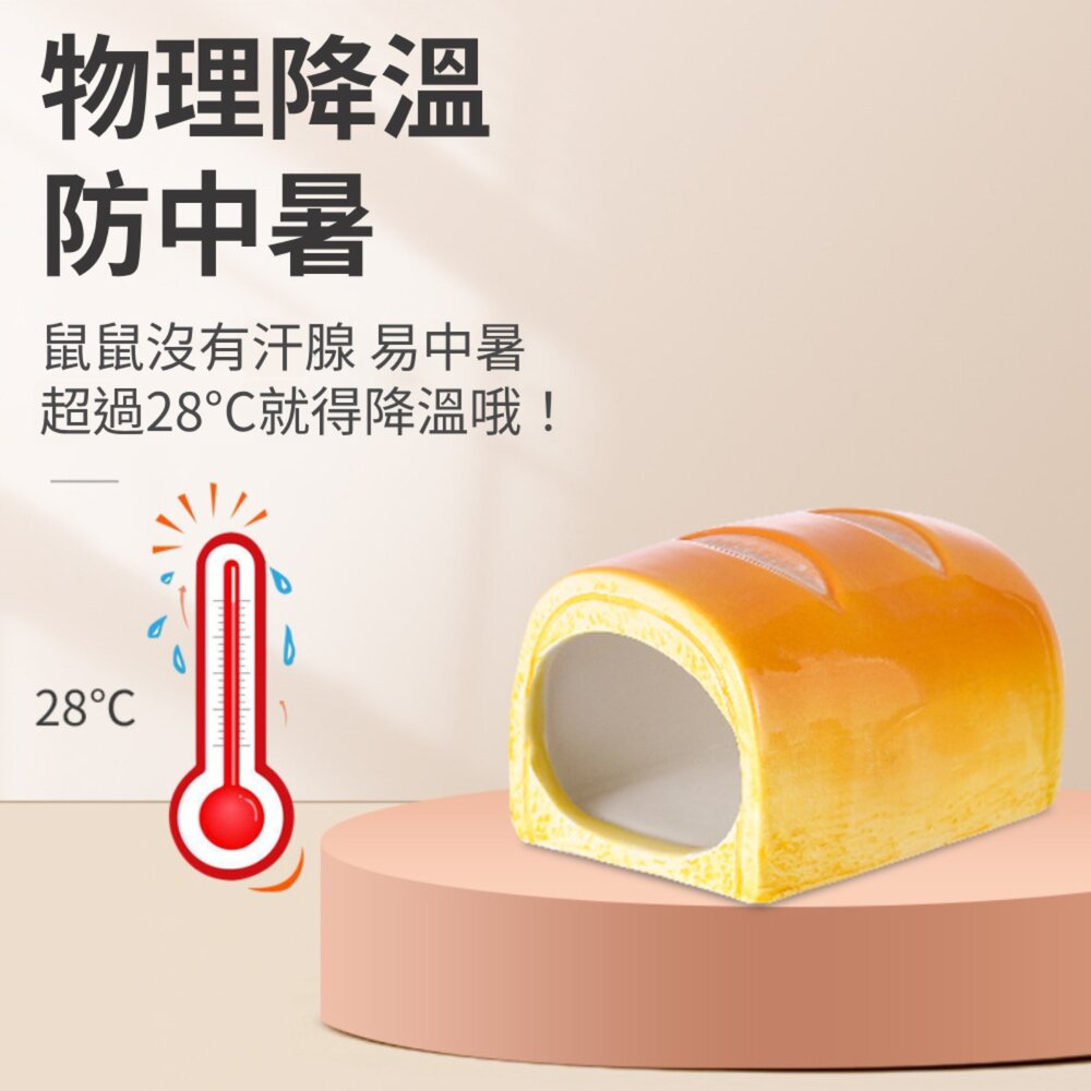 SG倉鼠陶瓷降溫窩 倉鼠躲避屋 倉鼠造景 倉鼠房子 夏天降溫窩 倉鼠窩窩 陶瓷窩 降溫倉鼠睡窩 夏季倉鼠窩毛掌櫃寵物店-圖片-4