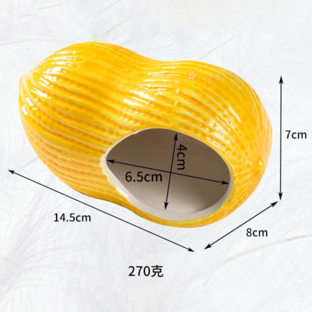 SG倉鼠陶瓷降溫窩 倉鼠躲避屋 倉鼠造景 倉鼠房子 夏天降溫窩 倉鼠窩窩 陶瓷窩 降溫倉鼠睡窩 夏季倉鼠窩毛掌櫃寵物店-圖片-8