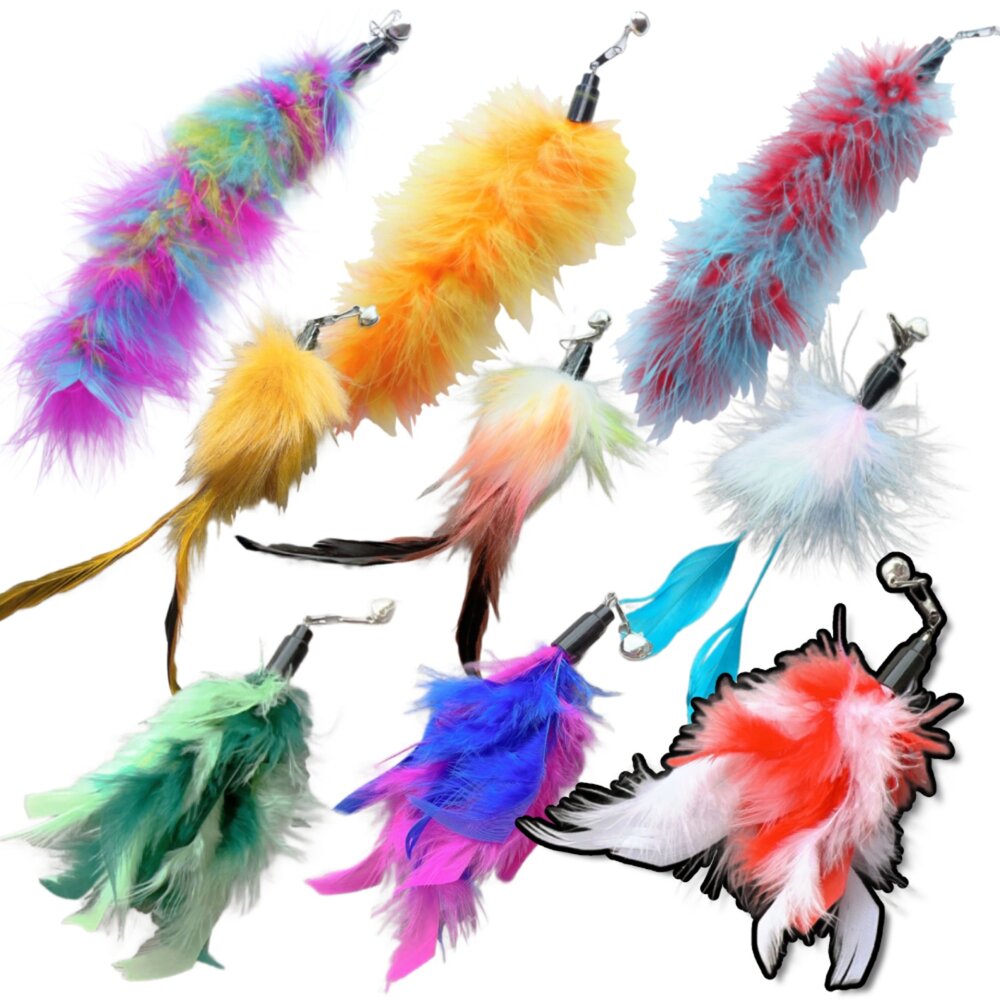 250708230058-NB逗貓棒替換頭 羽毛 逗貓玩具 貓咪玩具 逗貓棒配件 可替換頭 寵物用品 貓玩具 貓杆 伸縮逗貓棒替換頭毛掌櫃寵物店