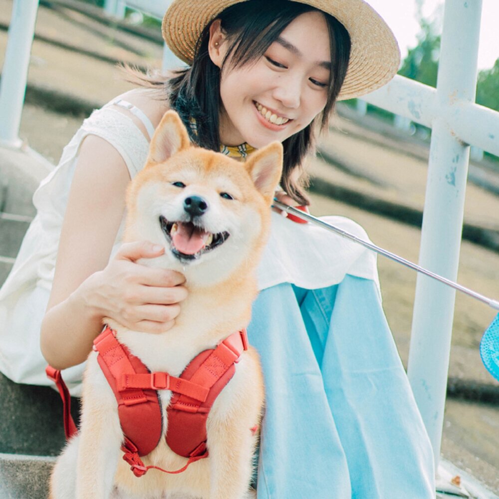 斯普尼克 SPUTNIK 寵物胸背帶 外出 外出用品 Explore 胸背帶毛掌櫃寵物店-圖片-3