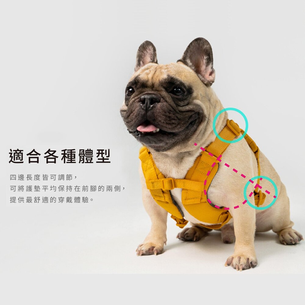 斯普尼克 SPUTNIK 寵物胸背帶 外出 外出用品 Explore 胸背帶毛掌櫃寵物店-圖片-7