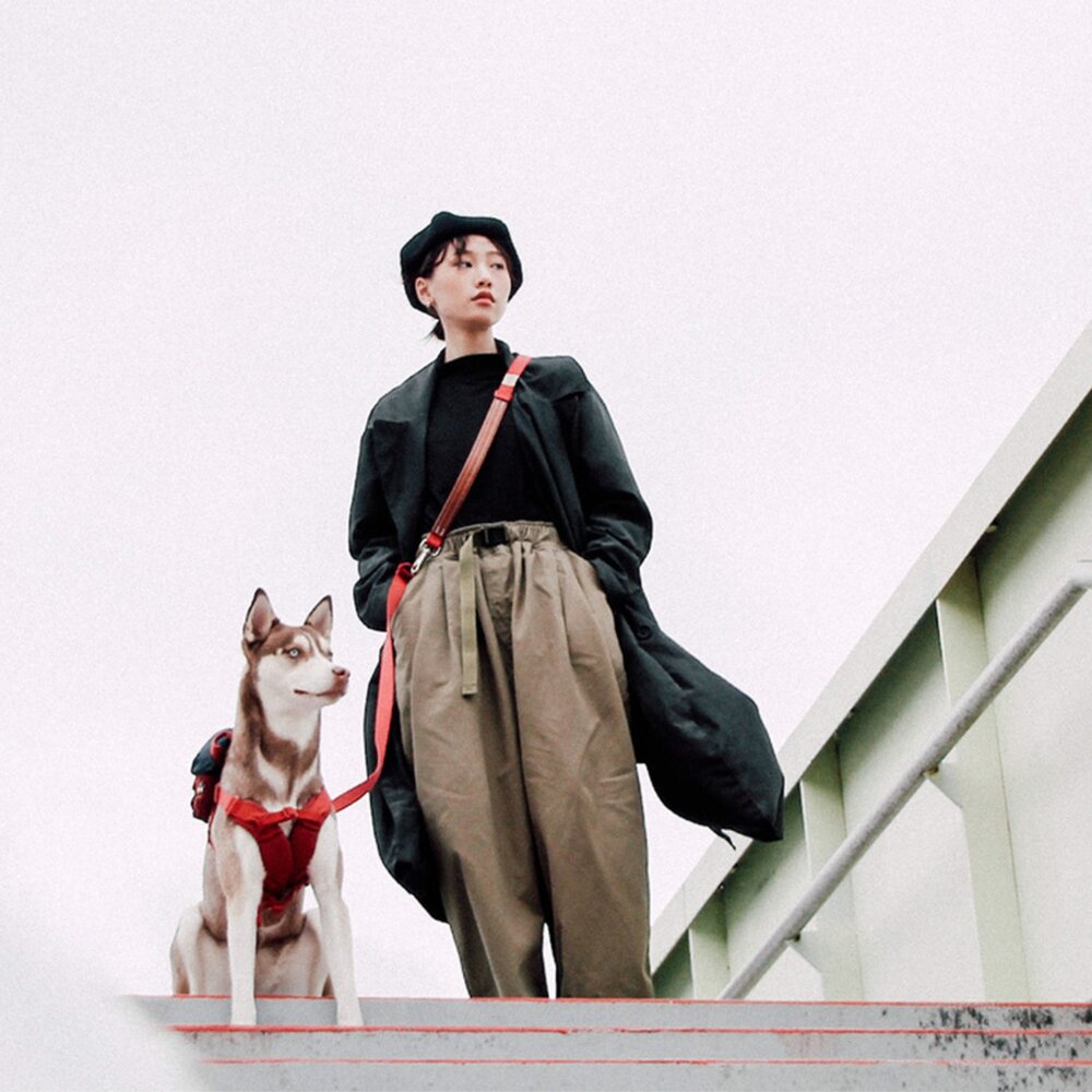 SPUTNIK 斯普尼克 牽繩 寵物牽繩 Explore牽繩毛掌櫃寵物店-圖片-10