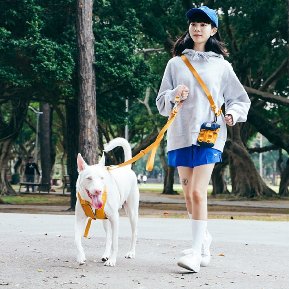 SPUTNIK 斯普尼克 牽繩 寵物牽繩 Explore牽繩毛掌櫃寵物店-圖片-4