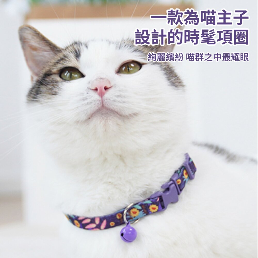 卡啦酷寵 貓項圈 安全扣項圈 寵物項圈 安全項圈 防窒息項圈 貓咪造型項圈 可調節安全活扣 貓咪項圈毛掌櫃寵物店-圖片-1