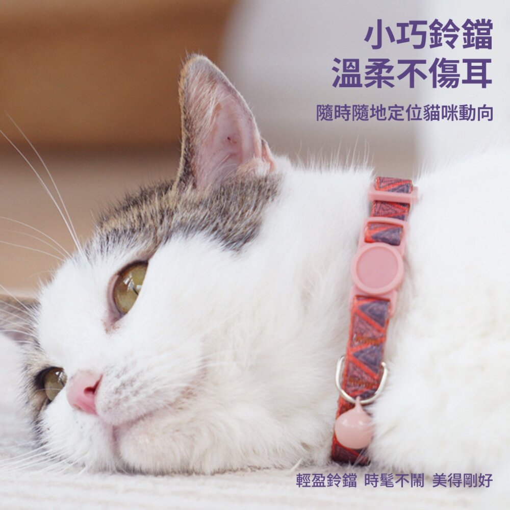 卡啦酷寵 貓項圈 安全扣項圈 寵物項圈 安全項圈 防窒息項圈 貓咪造型項圈 可調節安全活扣 貓咪項圈毛掌櫃寵物店-圖片-2