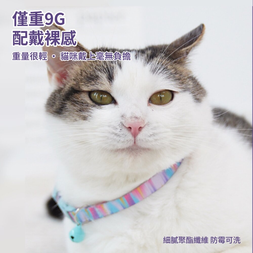 卡啦酷寵 貓項圈 安全扣項圈 寵物項圈 安全項圈 防窒息項圈 貓咪造型項圈 可調節安全活扣 貓咪項圈毛掌櫃寵物店-圖片-4