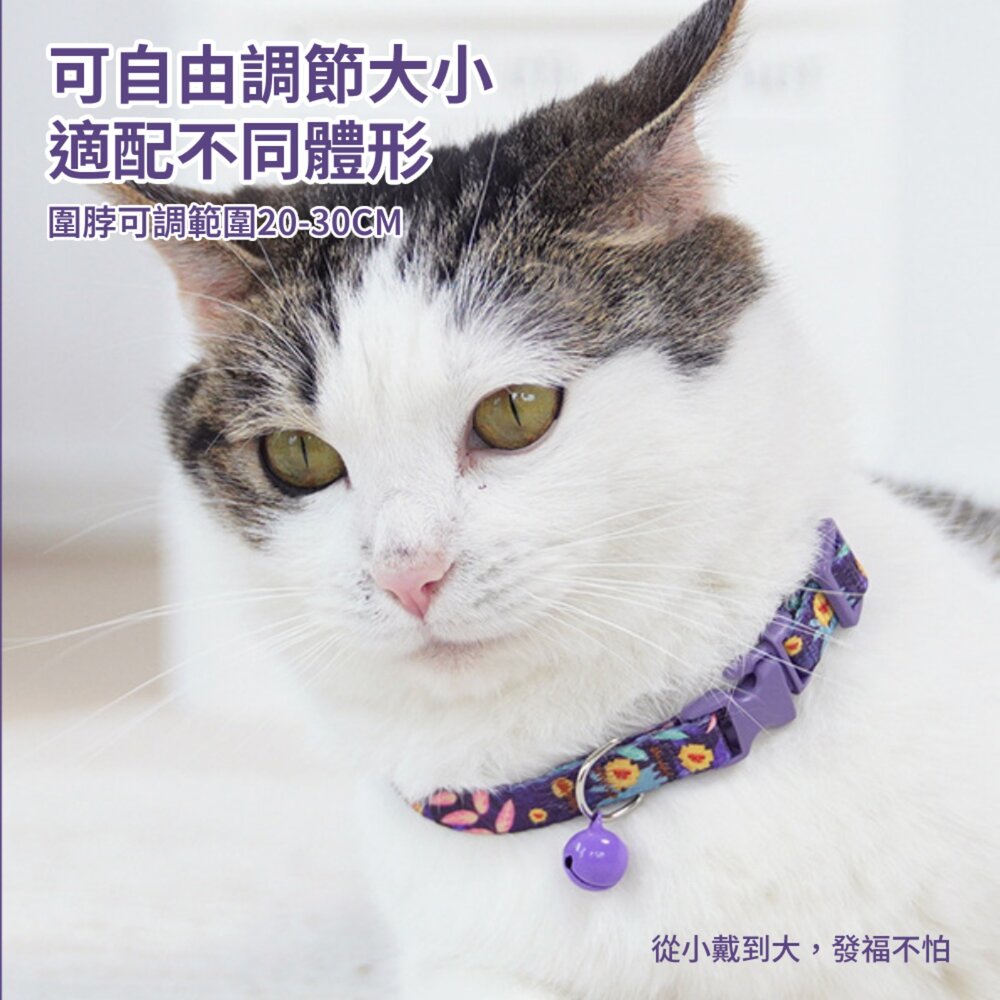 卡啦酷寵 貓項圈 安全扣項圈 寵物項圈 安全項圈 防窒息項圈 貓咪造型項圈 可調節安全活扣 貓咪項圈毛掌櫃寵物店-圖片-5