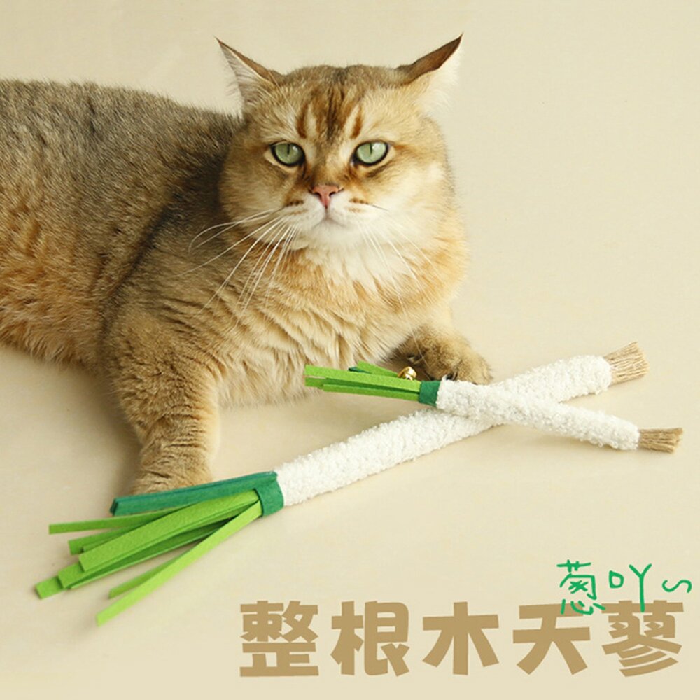 菜菜木天蓼玩具 小蔥 芹菜 胡蘿蔔 木天蓼 逗貓玩具 木天蓼逗貓棒 響鈴逗貓玩具 貓玩具毛掌櫃寵物店-圖片-1