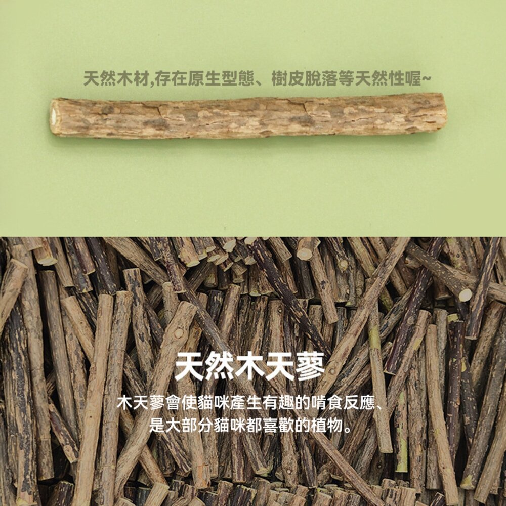 菜菜木天蓼玩具 小蔥 芹菜 胡蘿蔔 木天蓼 逗貓玩具 木天蓼逗貓棒 響鈴逗貓玩具 貓玩具毛掌櫃寵物店-圖片-2