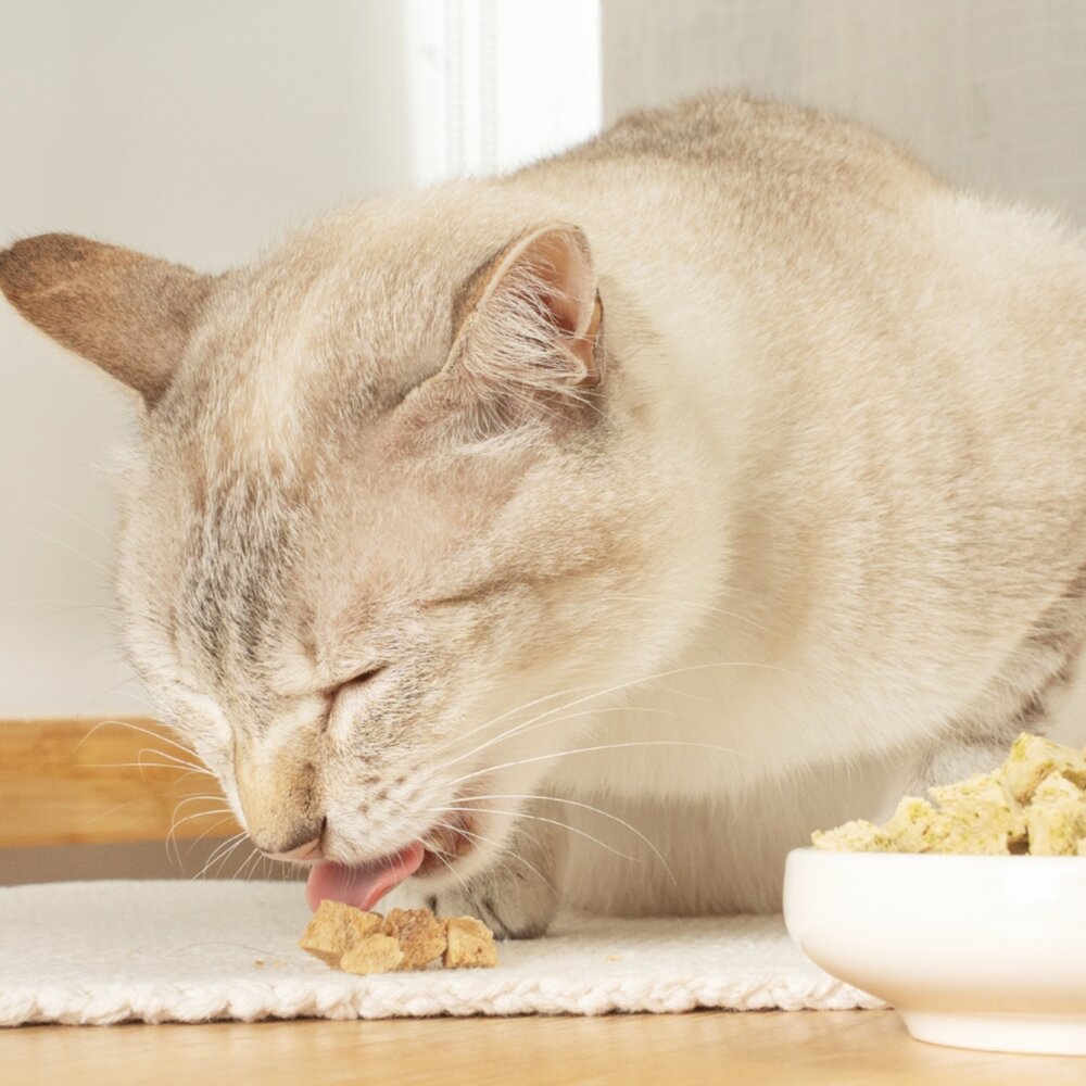 怪獸部落 爽爽庫肉粒 凍乾 野味凍乾零食 凍乾零食 貓咪零食 狗狗零食 貓狗凍乾毛掌櫃寵物店-圖片-10