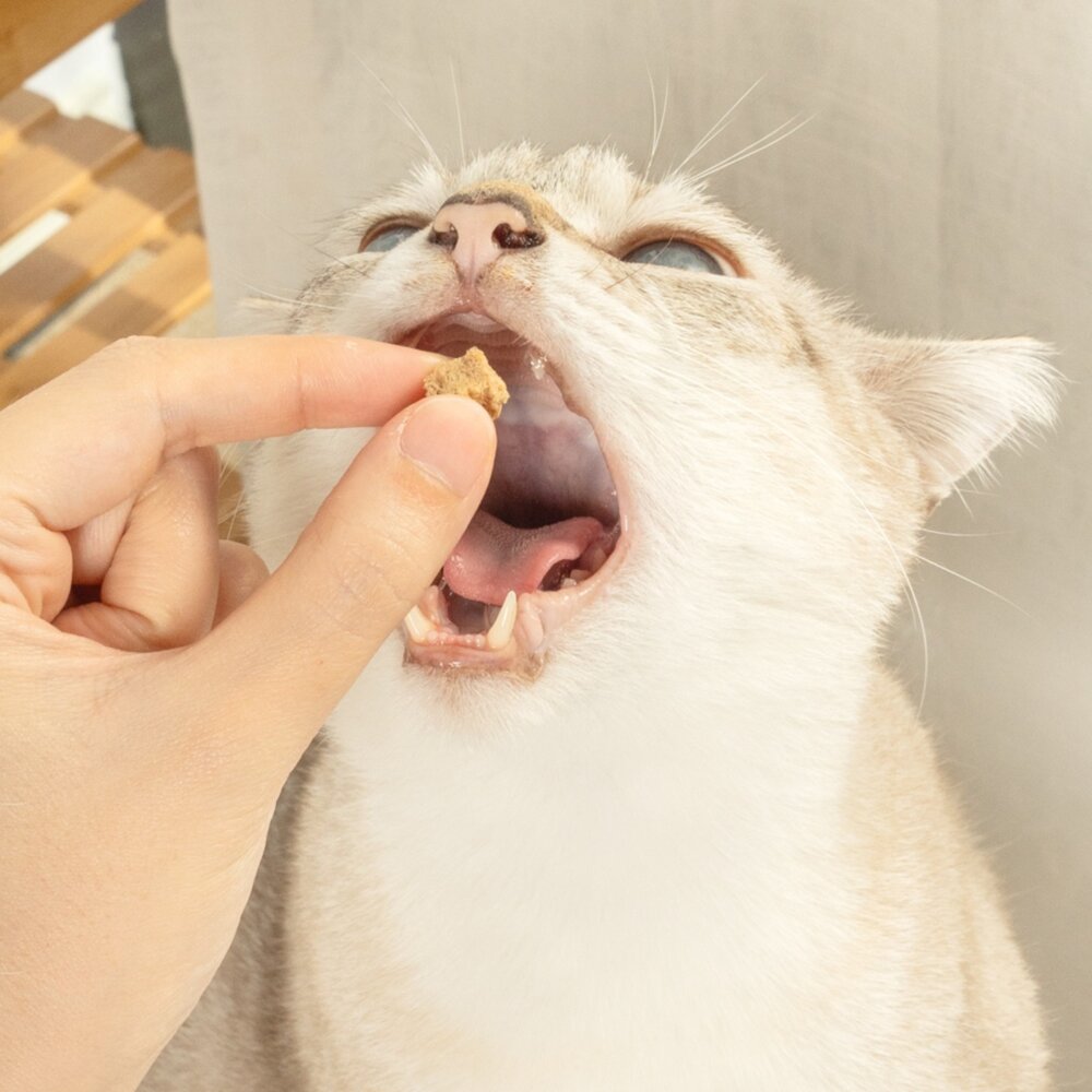 怪獸部落 爽爽庫肉粒 凍乾 野味凍乾零食 凍乾零食 貓咪零食 狗狗零食 貓狗凍乾毛掌櫃寵物店-圖片-8
