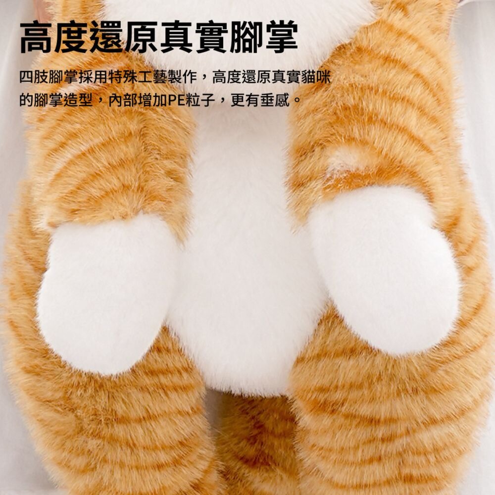 抱抱寶貝貓玩偶 毛絨玩具 絨毛娃娃 貓咪玩偶 大型玩偶 玩偶動物 安撫娃娃 趴趴貓咪毛掌櫃寵物店-圖片-6
