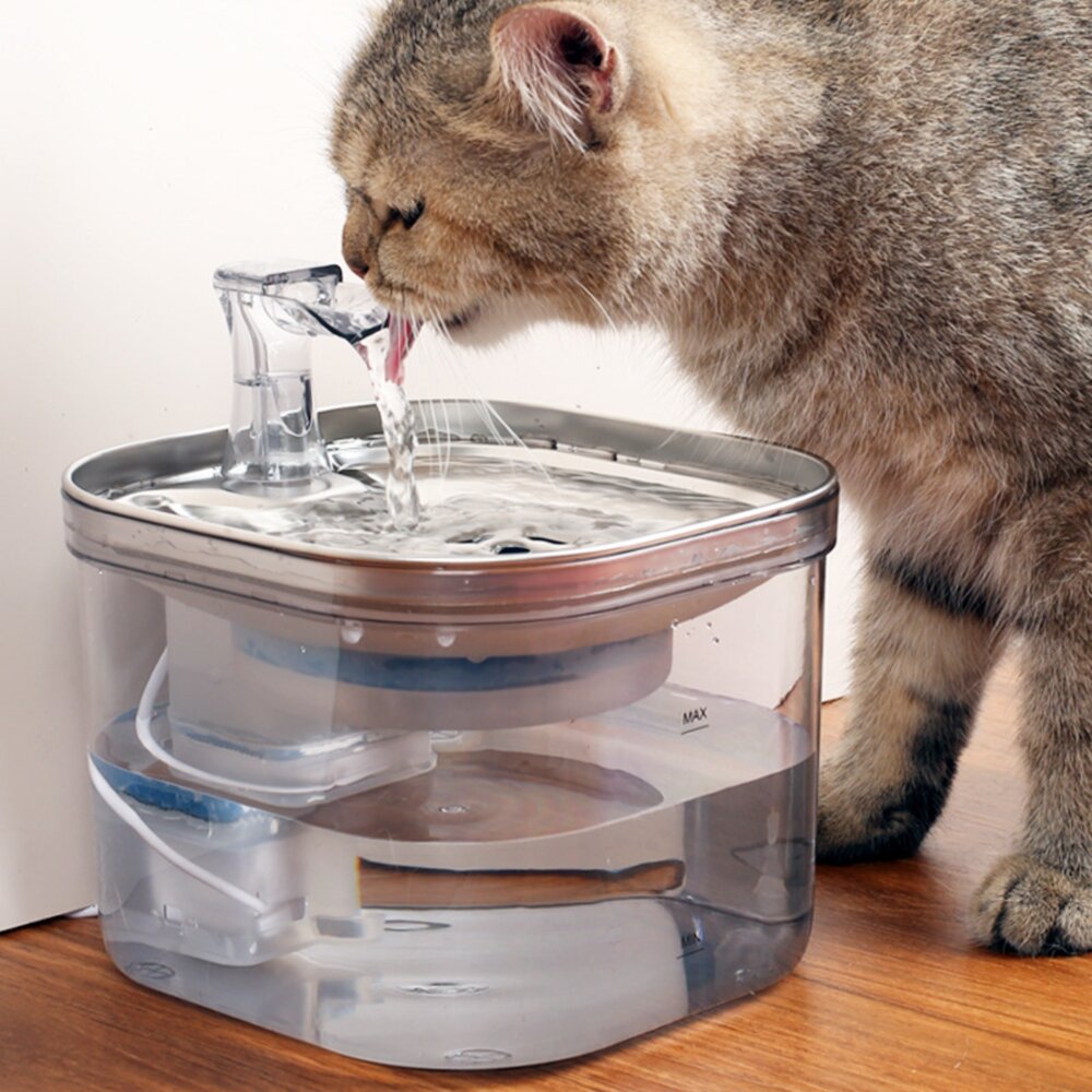 Cooler自動飲水器 不銹鋼 飲水器 自動飲水機 寵物飲水器 貓飲水 狗飲水毛掌櫃寵物店-圖片-8