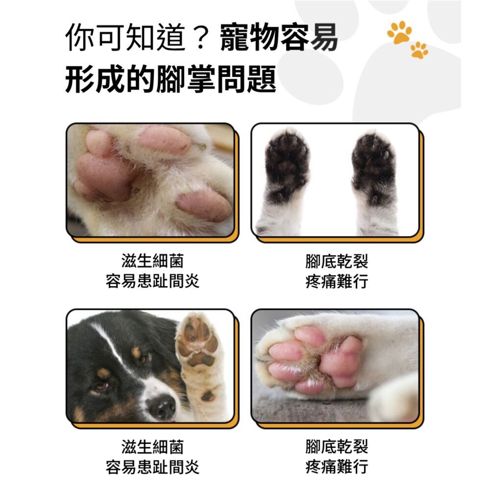 MELAO護掌膏 寵物護掌霜 護足霜 護爪膏 護掌膏 寵物潤腳膏 滋潤護理霜毛掌櫃寵物店-圖片-2
