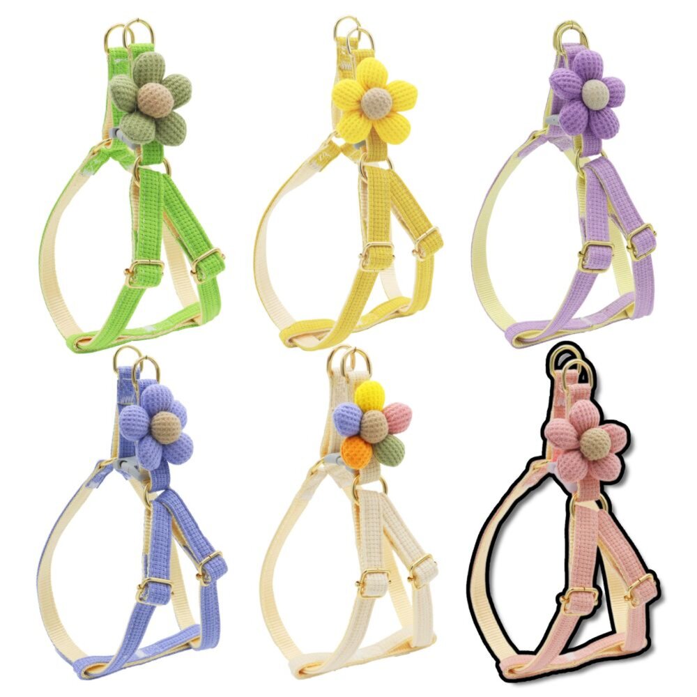 250815230134-LUFEI寵物胸背牽引繩 五瓣花 可愛胸背 貓咪牽引繩 寵物牽繩 胸背帶 狗牽繩 貓牽繩毛掌櫃寵物店