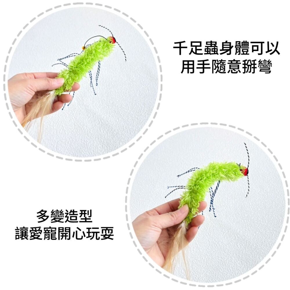 NB 千足蟲 替換頭 逗貓棒 互動貓玩具 可單獨玩 掛逗貓棒 吸引貓咪捕獵 咬咬玩具 貓咪用品毛掌櫃寵物店-圖片-2