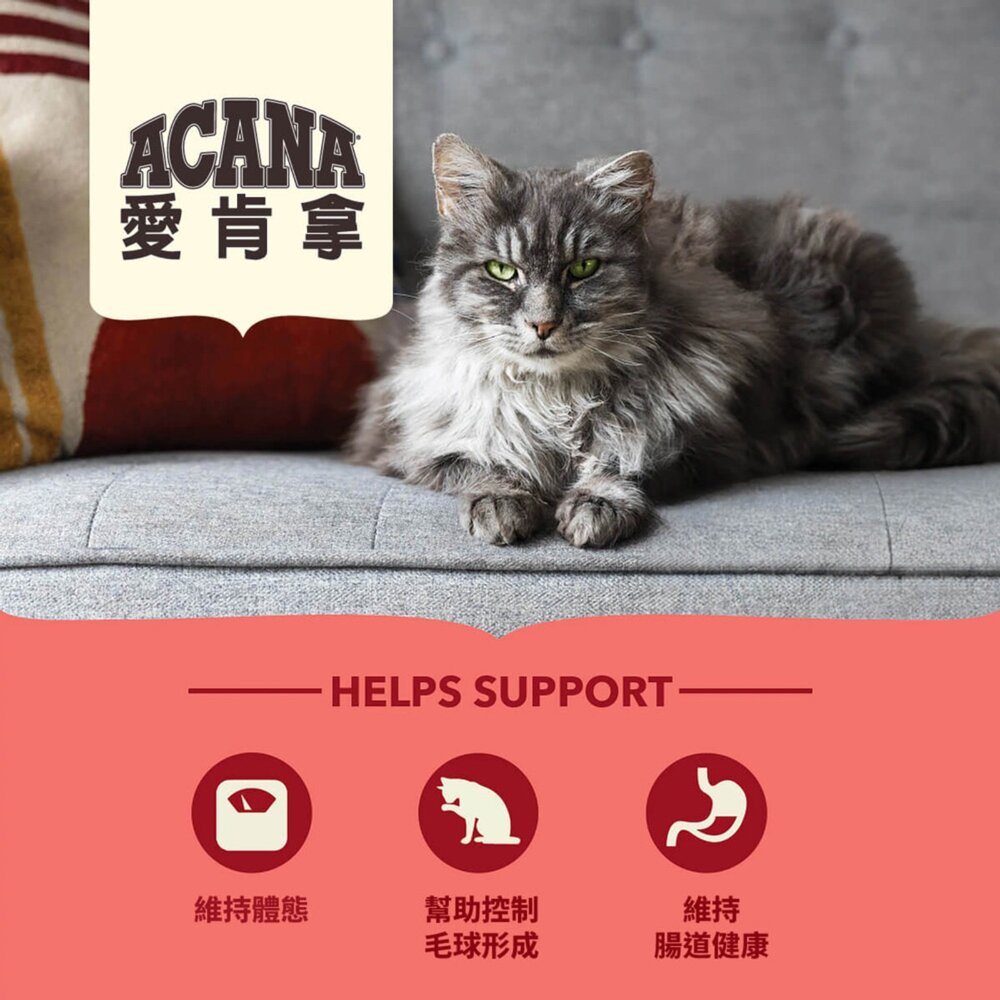 愛肯拿ACANA 無榖貓糧 全品項 1.8kg 4.5kg 貓飼料 低GI 貓糧毛掌櫃寵物店-圖片-10