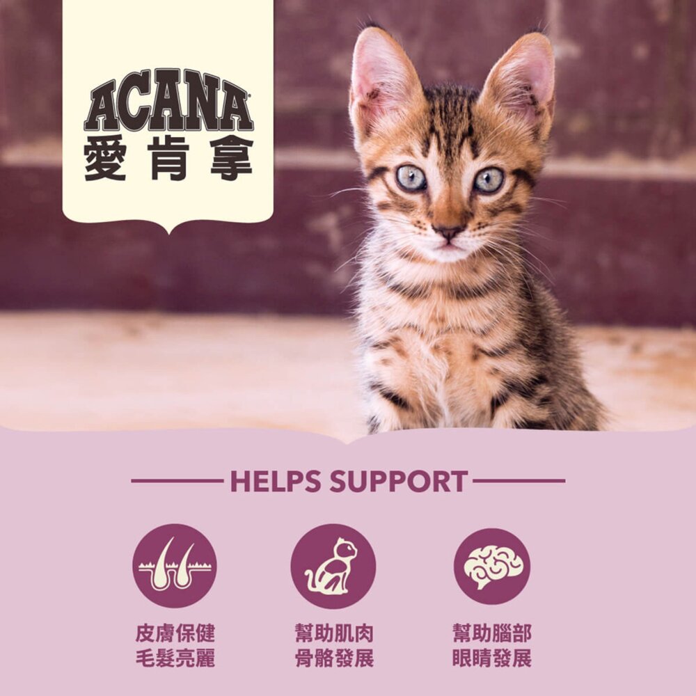 愛肯拿ACANA 無榖貓糧 全品項 1.8kg 4.5kg 貓飼料 低GI 貓糧毛掌櫃寵物店-圖片-2