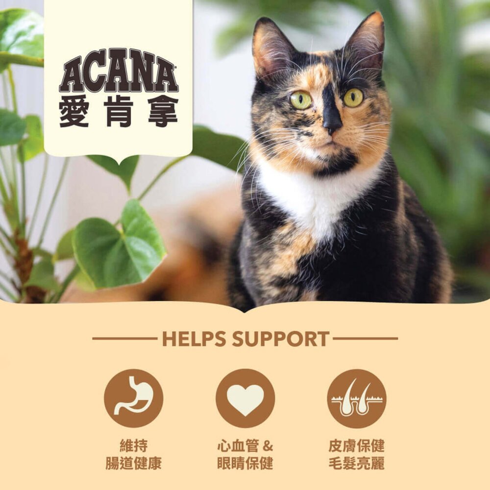 愛肯拿ACANA 無榖貓糧 全品項 1.8kg 4.5kg 貓飼料 低GI 貓糧毛掌櫃寵物店-圖片-3