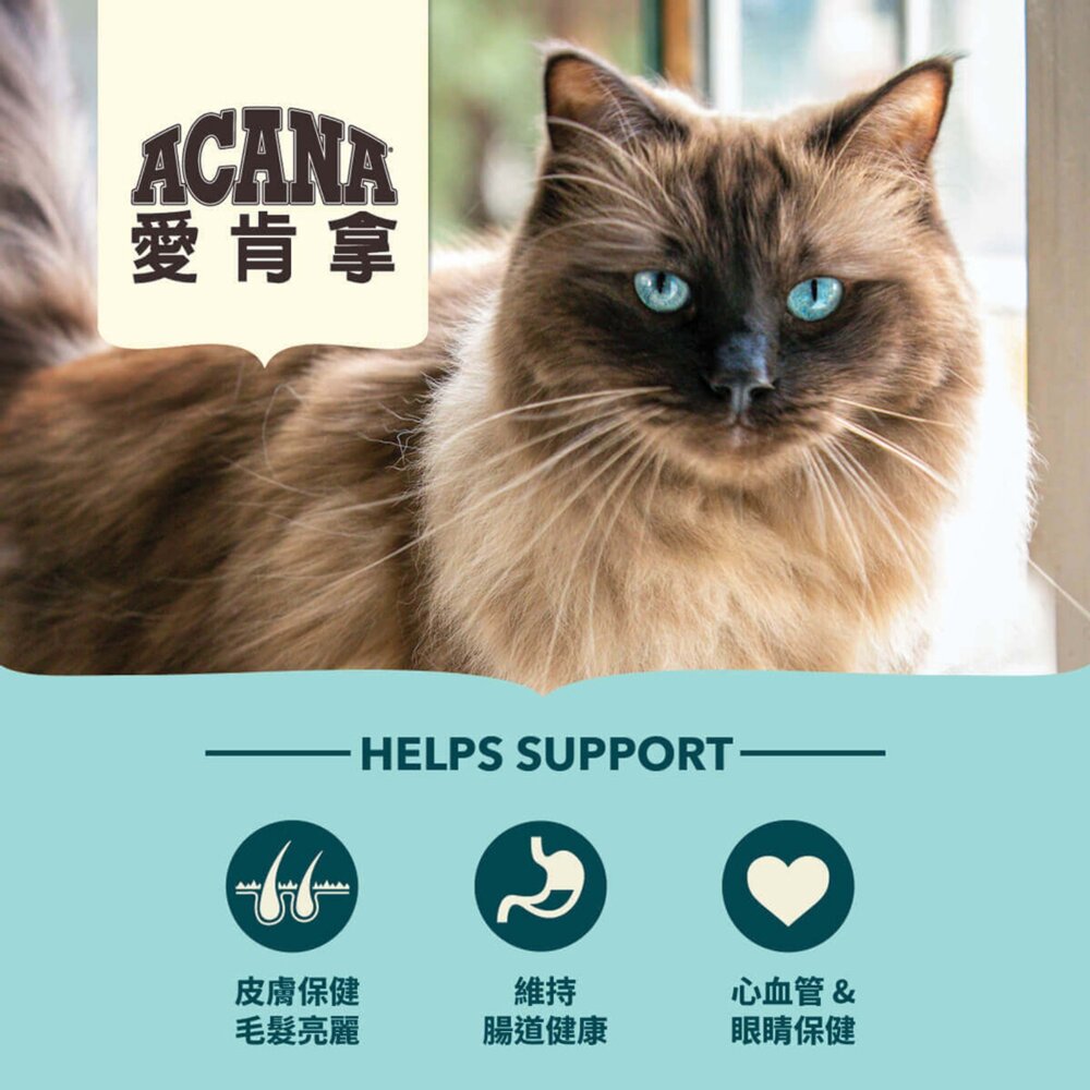 愛肯拿ACANA 無榖貓糧 全品項 1.8kg 4.5kg 貓飼料 低GI 貓糧毛掌櫃寵物店-圖片-4