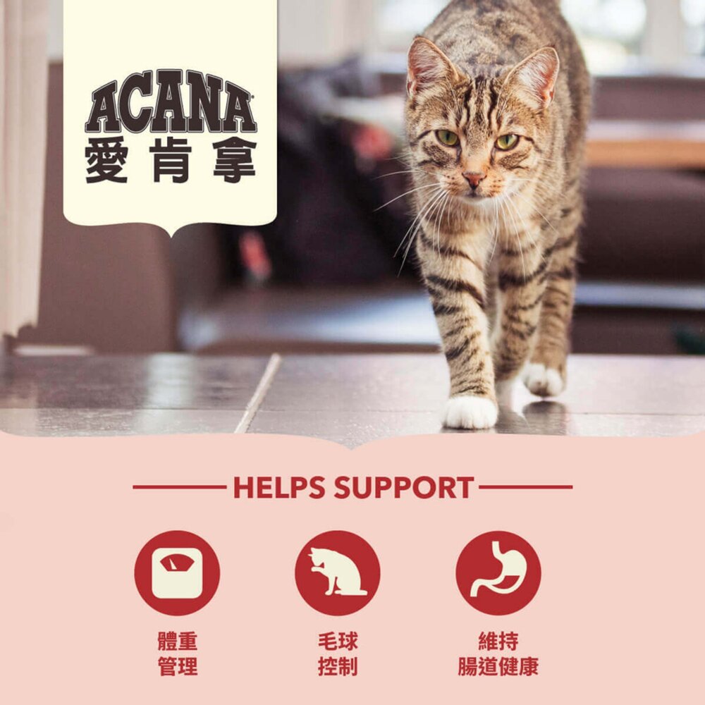 愛肯拿ACANA 無榖貓糧 全品項 1.8kg 4.5kg 貓飼料 低GI 貓糧毛掌櫃寵物店-圖片-5