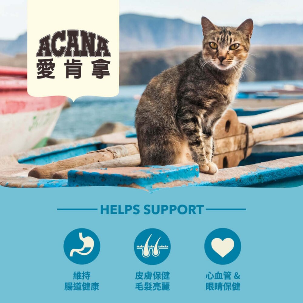愛肯拿ACANA 無榖貓糧 全品項 1.8kg 4.5kg 貓飼料 低GI 貓糧毛掌櫃寵物店-圖片-7