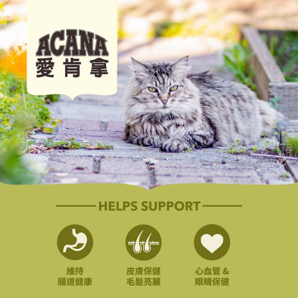 愛肯拿ACANA 無榖貓糧 全品項 1.8kg 4.5kg 貓飼料 低GI 貓糧毛掌櫃寵物店-圖片-9