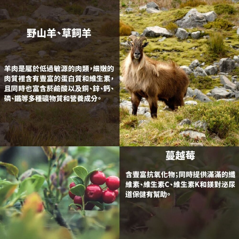 野宴紐西蘭無穀 貓飼料 貓糧 無穀貓飼料 無穀貓糧毛掌櫃寵物店-圖片-1