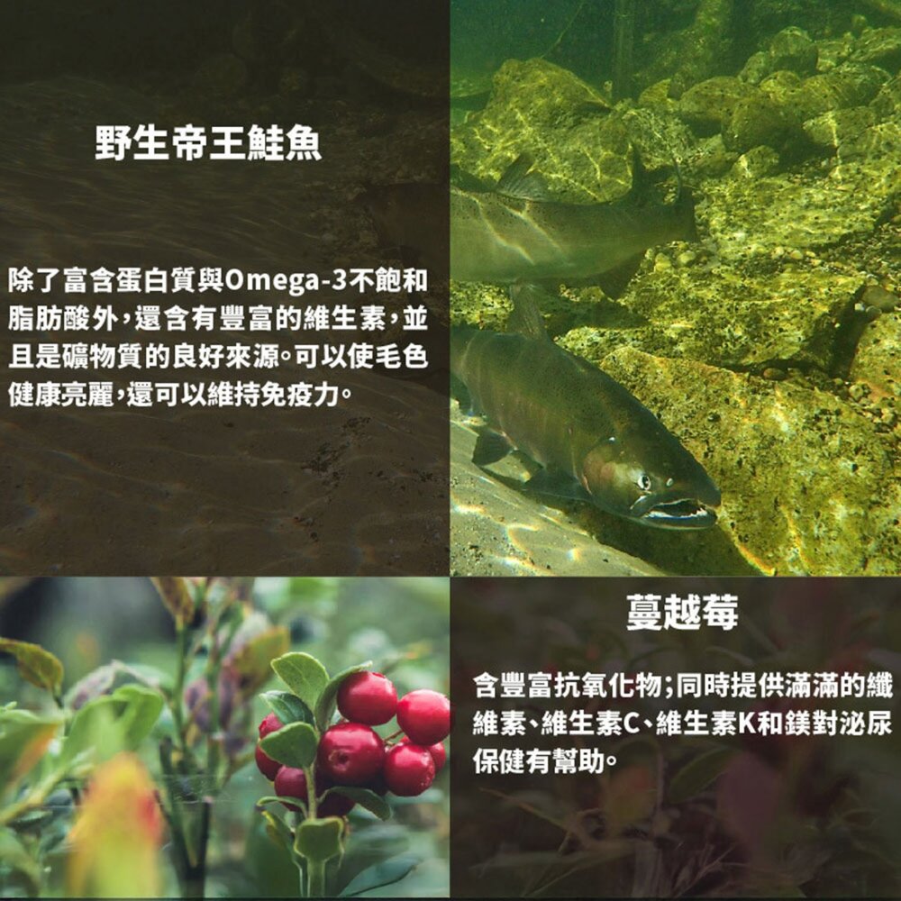 野宴紐西蘭無穀 貓飼料 貓糧 無穀貓飼料 無穀貓糧毛掌櫃寵物店-圖片-4