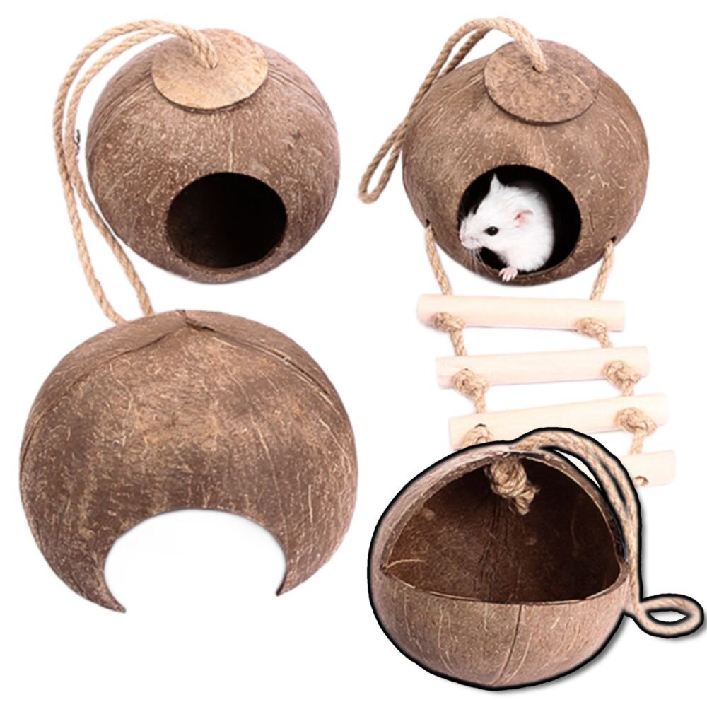 250829231112-YEE椰殼倉鼠窩 倉鼠躲避屋 倉鼠椰子窩 天然椰子殼 倉鼠磨牙小屋 倉鼠籠內造景 倉鼠吊窩 倉鼠空中爬梯毛掌櫃寵物店