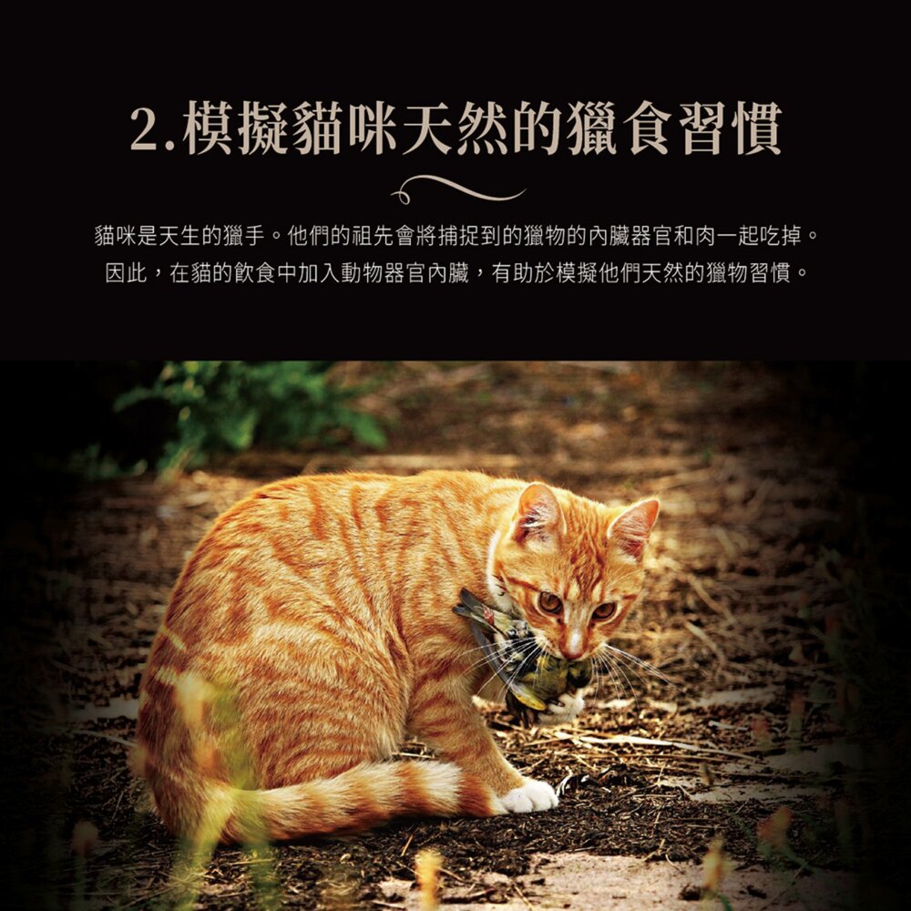 Cherie 法麗全照護主食 肉泥 貓肉泥 貓零食 貓條毛掌櫃寵物店-圖片-3