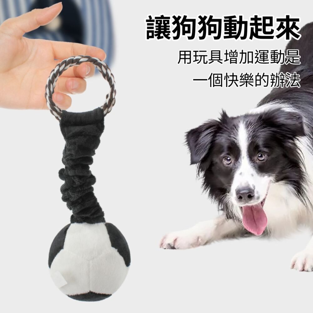 餵根蔬 把手甩甩 狗玩具 發聲玩具 寵物玩具 磨牙潔齒玩具 互動玩具 寵物耐咬玩具毛掌櫃寵物店-圖片-7