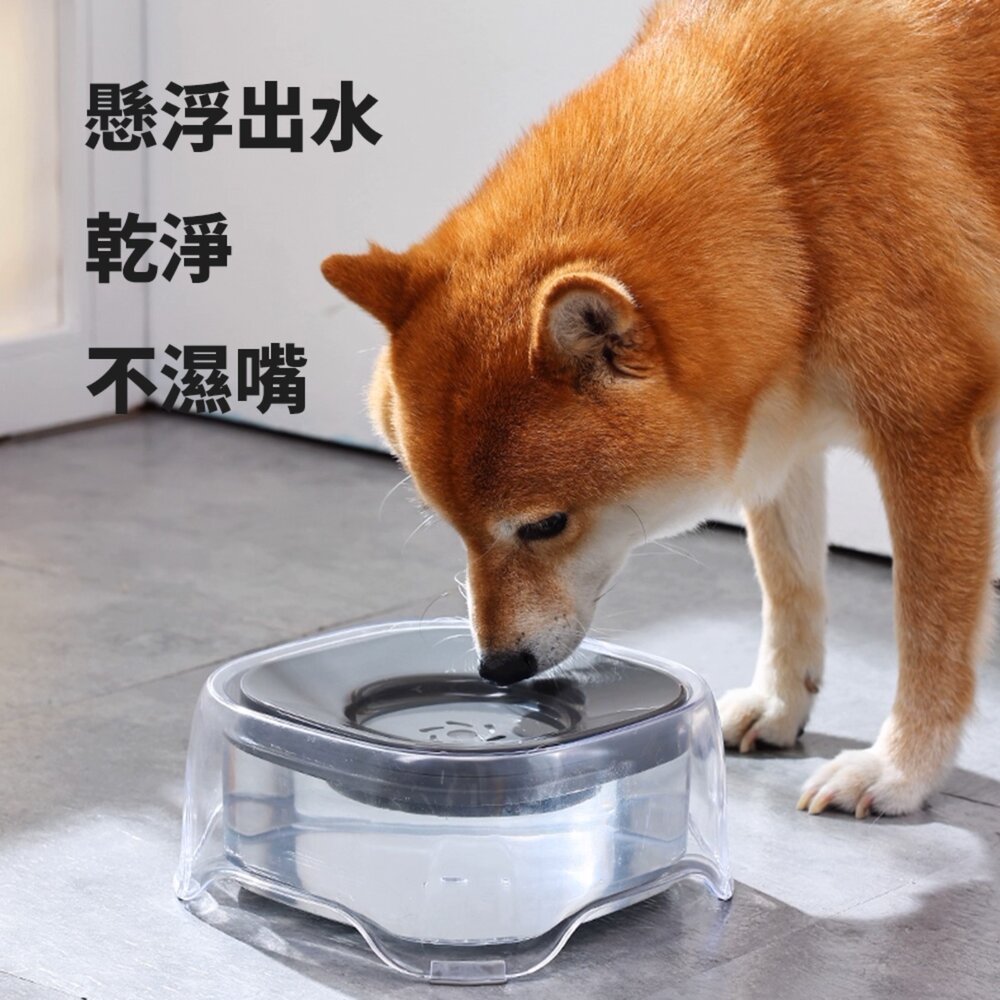 FLOAT 寵物透明浮水碗 浮水碗 漂浮碗 寵物碗 碗 透明懸浮水碗 寵物飲水器毛掌櫃寵物店-圖片-7