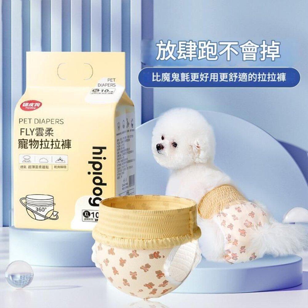 Hipidog 小熊拉拉禮貌帶 寵物生理褲 小狗狗母狗 拉拉褲 尿布 紙尿褲用品毛掌櫃寵物店-圖片-3