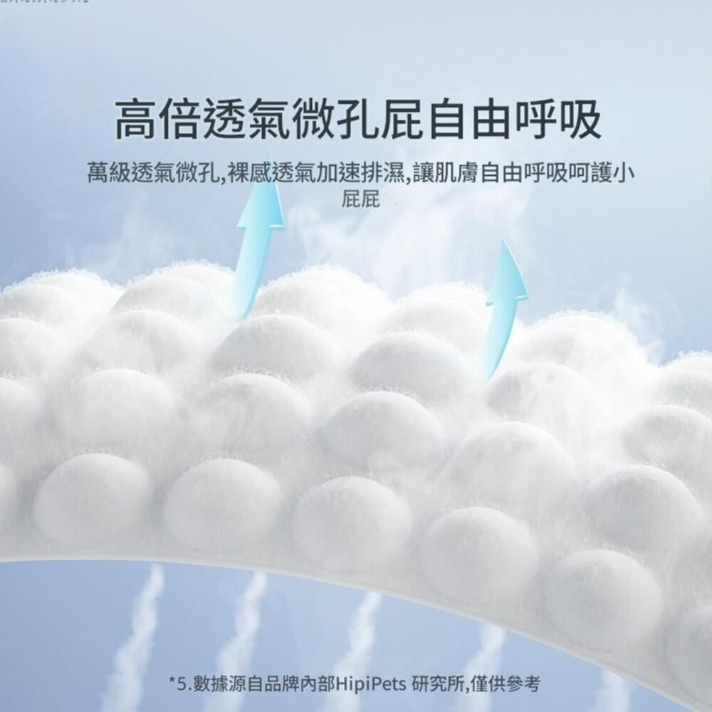 Hipidog 小熊拉拉禮貌帶 寵物生理褲 小狗狗母狗 拉拉褲 尿布 紙尿褲用品毛掌櫃寵物店-圖片-4