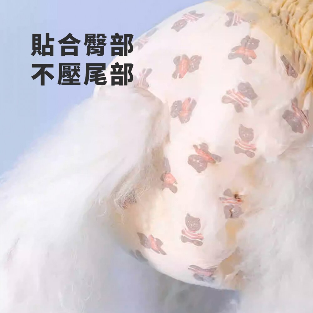 Hipidog 小熊拉拉禮貌帶 寵物生理褲 小狗狗母狗 拉拉褲 尿布 紙尿褲用品毛掌櫃寵物店-圖片-5