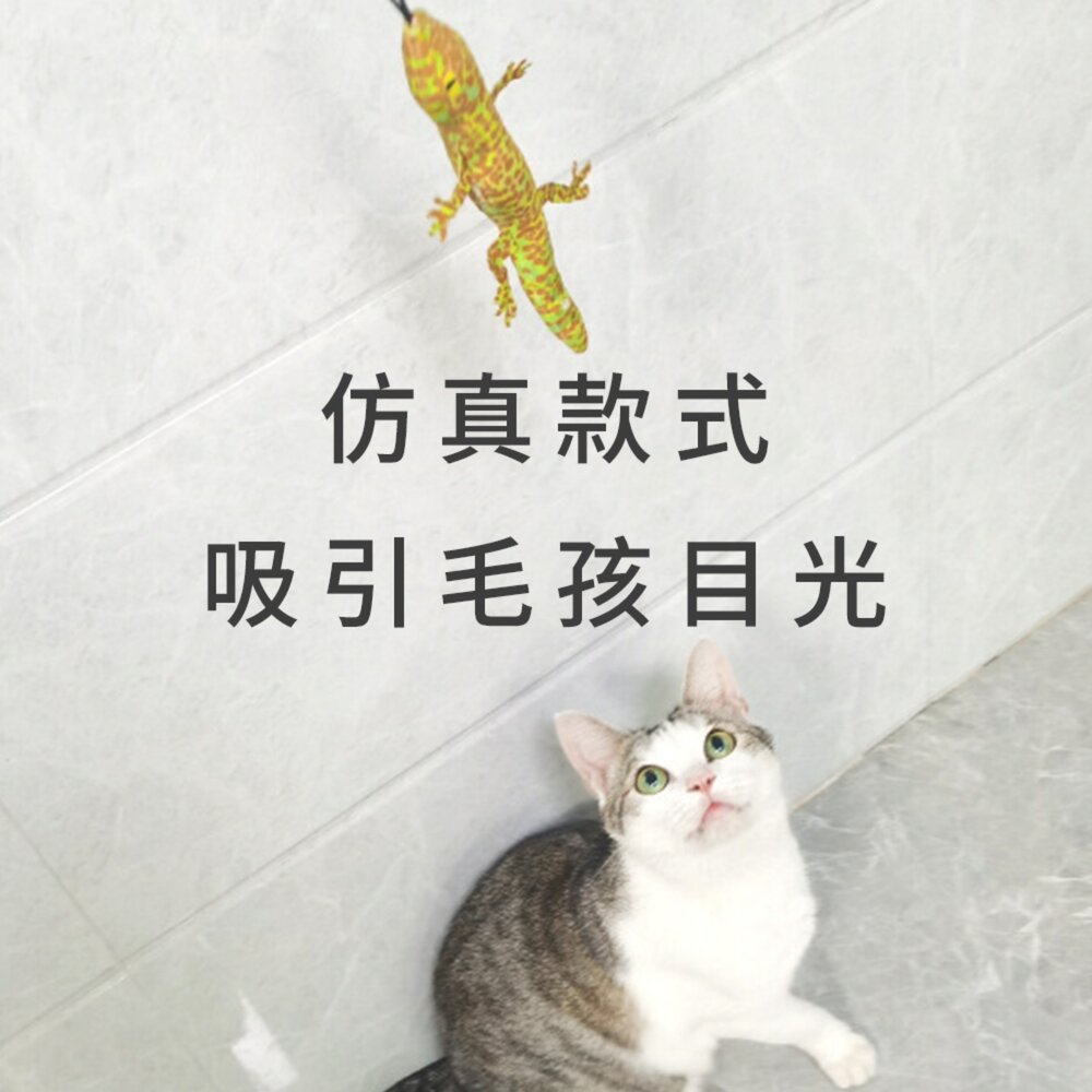 HF逗貓棒替換頭 仿真 蜥蜴替換頭 仿真 壁虎 貓咪 自嗨 解悶 逗貓棒 互動 耐咬貓 玩具毛掌櫃寵物店-圖片-1