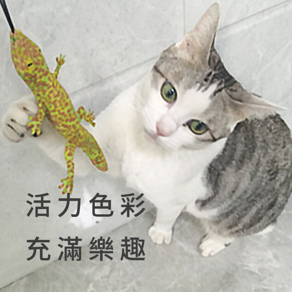 HF逗貓棒替換頭 仿真 蜥蜴替換頭 仿真 壁虎 貓咪 自嗨 解悶 逗貓棒 互動 耐咬貓 玩具毛掌櫃寵物店-圖片-2