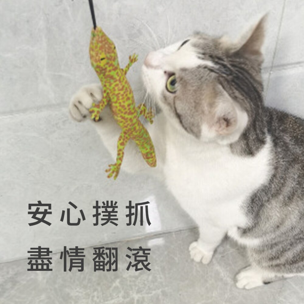 HF逗貓棒替換頭 仿真 蜥蜴替換頭 仿真 壁虎 貓咪 自嗨 解悶 逗貓棒 互動 耐咬貓 玩具毛掌櫃寵物店-圖片-3
